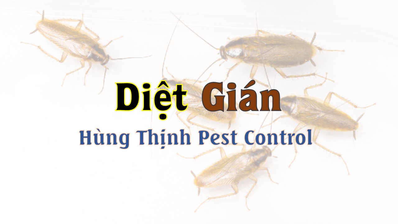 diet gian
