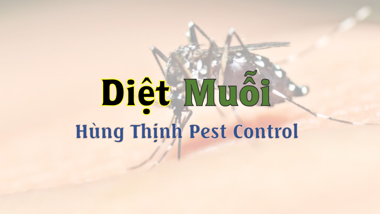 diet muoi