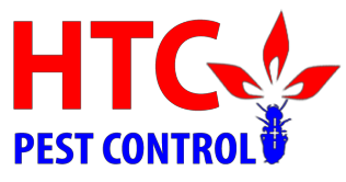diệt mối tận gốc